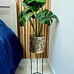 Marble Coast Daire *