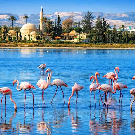 דירה Marble Coast *