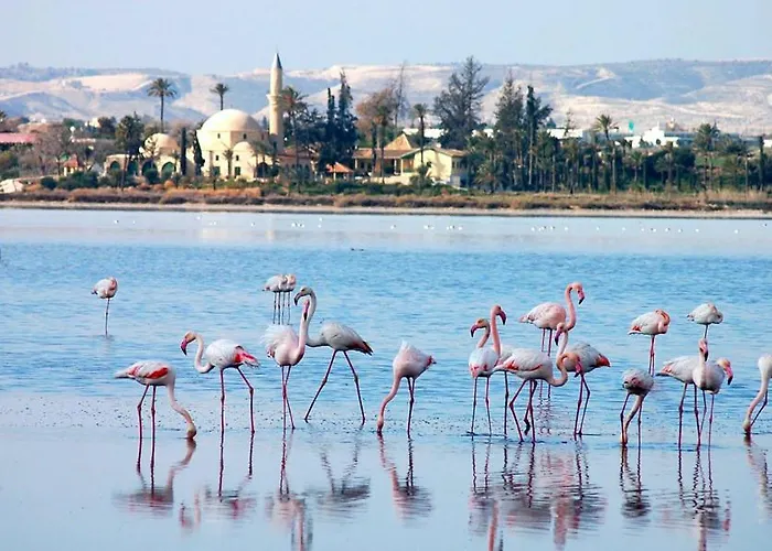 Marble Coast דירה *